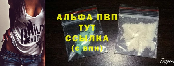 сатива Алзамай