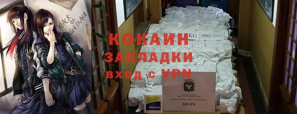 сатива Алзамай
